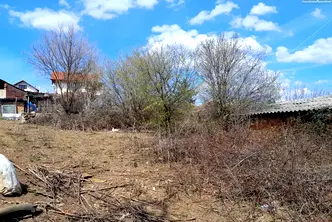 Парцел в Монтана, Кошарник