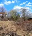 Парцел в Монтана, Кошарник