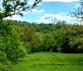Снимка 4 — Парцел в Габрово, с. Балванците