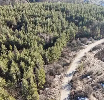 Photo 2 — Plot in област София, Belopopci