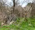 Снимка 5 — Парцел в Стара Загора, с. Братя Даскалови