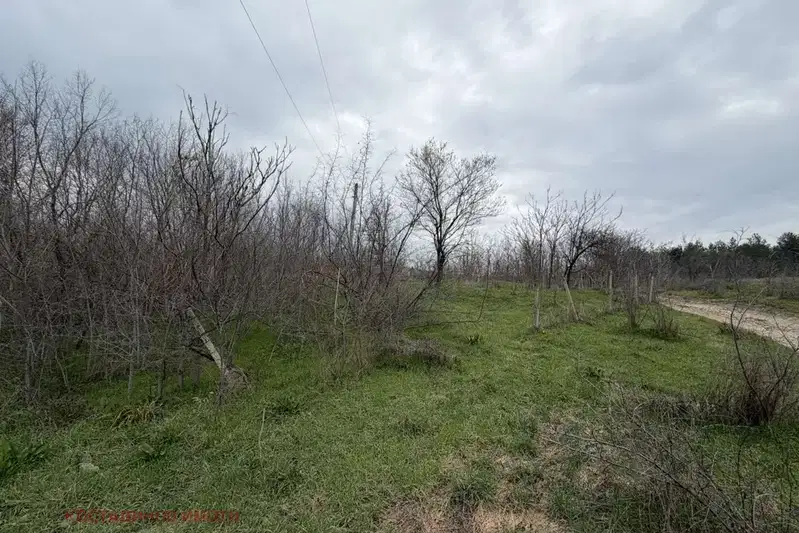 Парцел в Стара Загора, с. Братя Даскалови