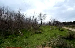 Парцел в Стара Загора, с. Братя Даскалови