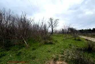 Парцел в Стара Загора, с. Братя Даскалови