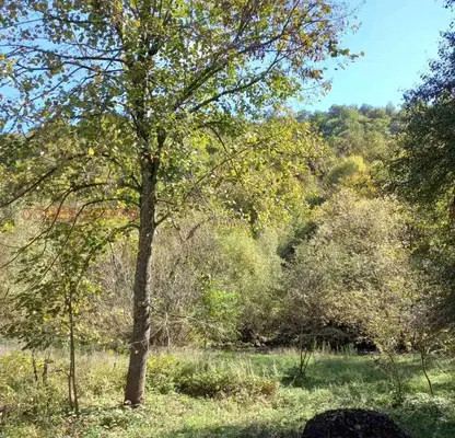 Photo 3 — Plot in Oblast Lovech, Cherni Vit