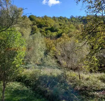 Photo 4 — Plot in Oblast Lovech, Cherni Vit