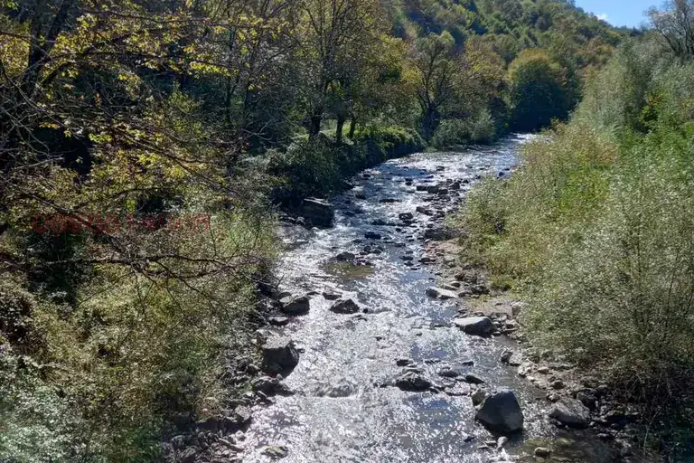 Plot in Oblast Lovech, Cherni Vit