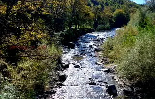 Парцел в Ловеч, с. Черни Вит