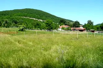 Парцел във Велико Търново, с. Чешма