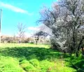 Снимка 3 — Парцел във Варна, с. Доброплодно