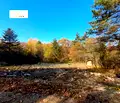 Снимка 5 — Парцел в с. Долни Пасарел