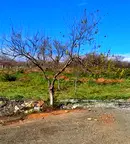 Парцел в Бургас, с. Индже войвода
