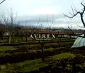 Снимка 5 — Парцел в Пловдив, с. Искра