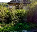 Снимка 4 — Парцел в с. Извор