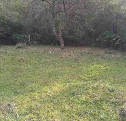 Photo 5 — Plot in област София, Kalugerovo