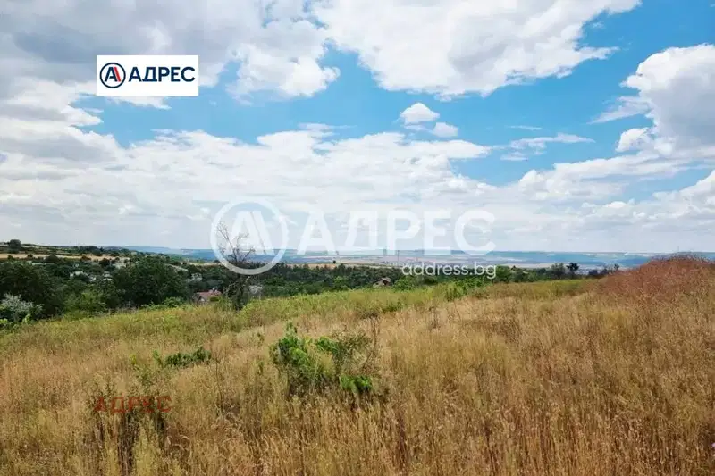 Plot in Konstantinovo