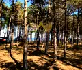 Снимка 5 — Парцел в Добрич, с. Крапец
