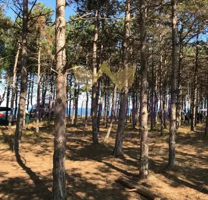 Снимка 5 — Парцел в Добрич, с. Крапец