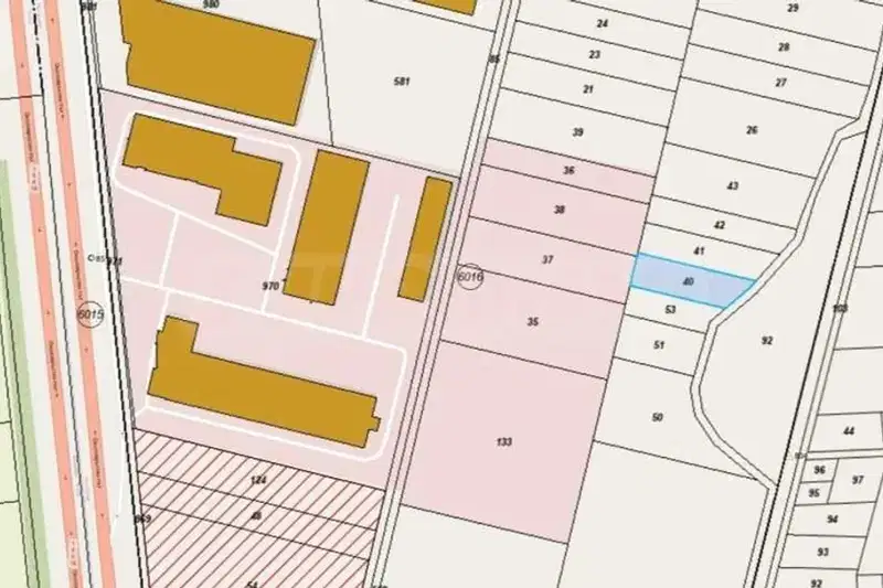 Plot in Krivina