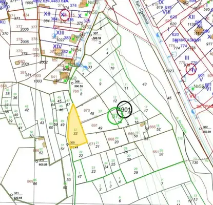 Photo 2 — Plot in Kytina