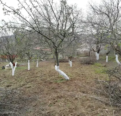 Photo 2 — Plot in Oblast Shumen, Kyulevcha