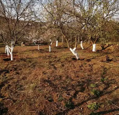 Photo 3 — Plot in Oblast Shumen, Kyulevcha