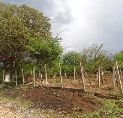 Photo 4 — Plot in Oblast Shumen, Kyulevcha