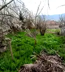 Парцел във Велико Търново, с. Леденик