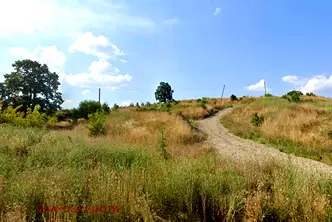 Парцел в Стара Загора, с. Малка Верея