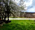 Снимка 4 — Парцел в Ловеч, с. Орешак