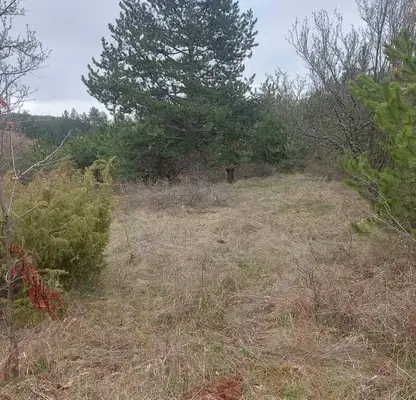 Photo 3 — Plot in Podgumer