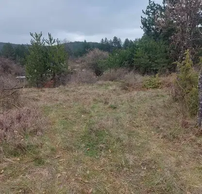 Photo 4 — Plot in Podgumer