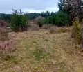 Снимка 4 — Парцел в с. Подгумер