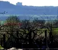 Снимка 2 — Парцел в Добрич, с. Рогачево