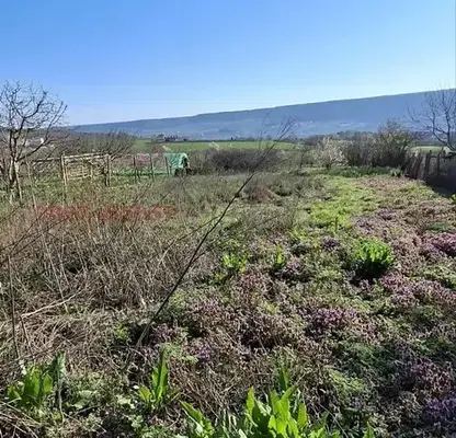 Photo 3 — Plot in Dobrich, Rogachevo