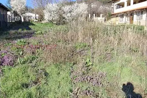Plot in Dobrich, Rogachevo