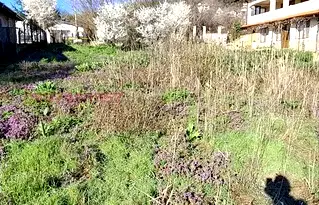 Парцел в Добрич, с. Рогачево
