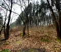 Снимка 4 — Парцел в Перник, с. Рударци