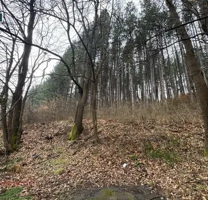 Photo 4 — Plot in Oblast Pernik, Rudarci