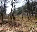 Снимка 5 — Парцел в Перник, с. Рударци