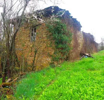 Photo 2 — Plot in Oblast Gabrovo, Slaveikovo
