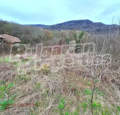 Photo 3 — Plot in Oblast Veliko Tyrnovo, с. Тодювци