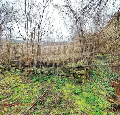 Photo 4 — Plot in Oblast Veliko Tyrnovo, с. Тодювци