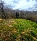 Парцел в с. Тополи
