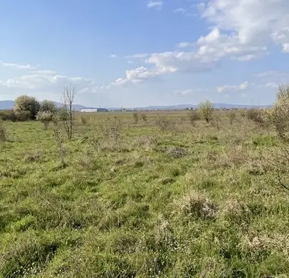 Photo 3 — Plot in Voluyak