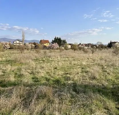 Photo 4 — Plot in Voluyak