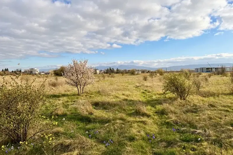 Парцел в с. Волуяк