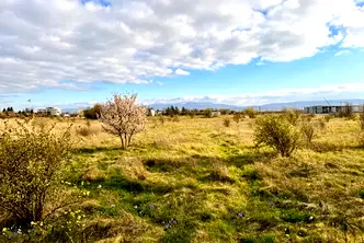 Парцел в с. Волуяк
