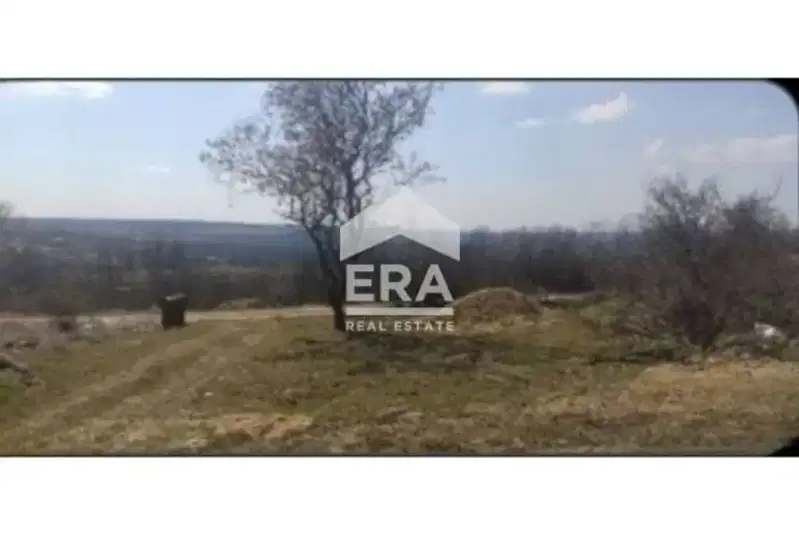 Plot in Zvezdica