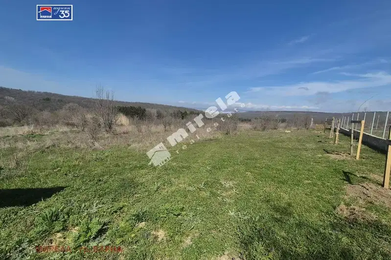 Plot in Zvezdica